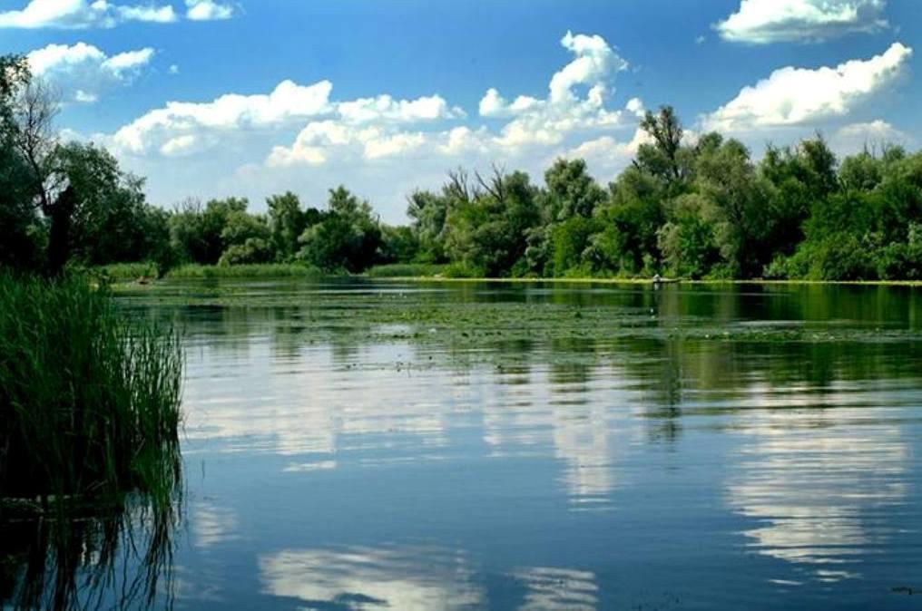 Семейный комплекс  ЕкоКомфорт Sagunovka Экстерьер фото